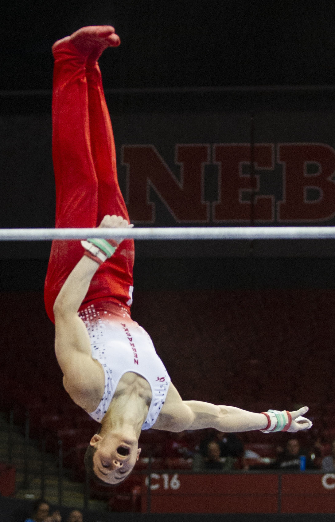 NU men's gymnastics vs. Illinois, Oklahoma, 2.2